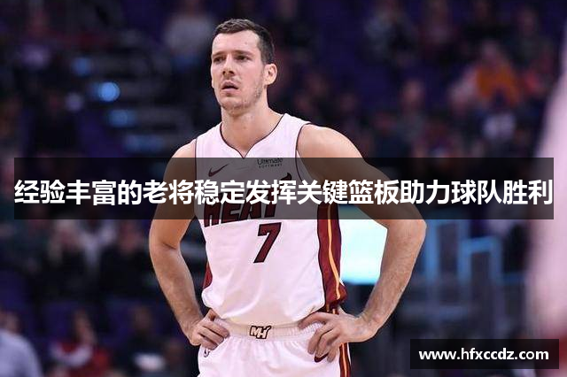 经验丰富的老将稳定发挥关键篮板助力球队胜利