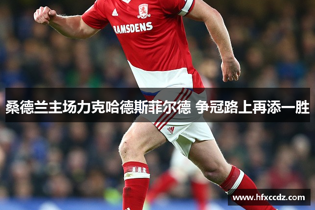桑德兰主场力克哈德斯菲尔德 争冠路上再添一胜