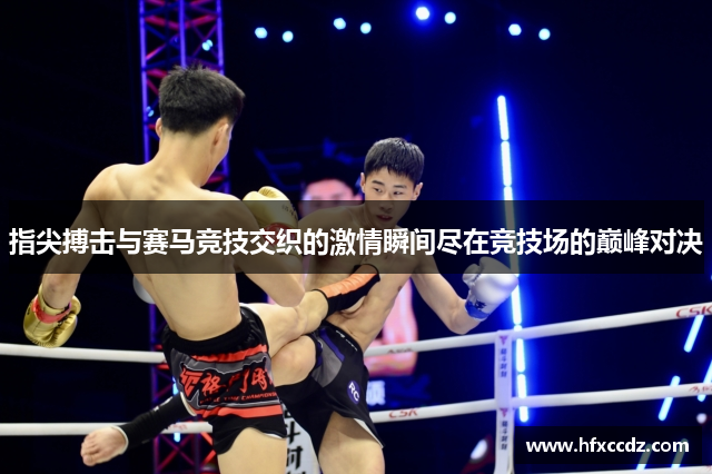 指尖搏击与赛马竞技交织的激情瞬间尽在竞技场的巅峰对决