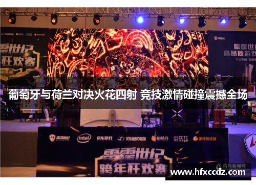 葡萄牙与荷兰对决火花四射 竞技激情碰撞震撼全场