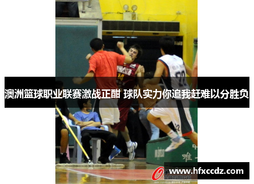澳洲篮球职业联赛激战正酣 球队实力你追我赶难以分胜负