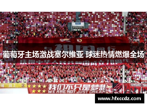 葡萄牙主场激战塞尔维亚 球迷热情燃爆全场